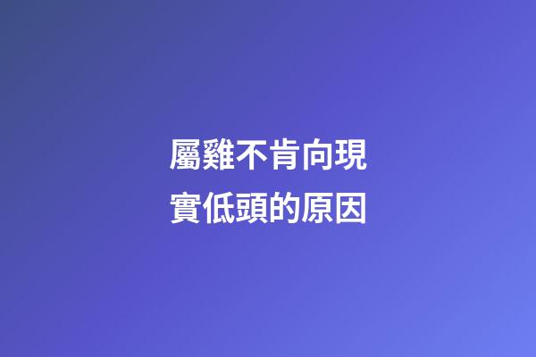 屬雞不肯向現實低頭的原因