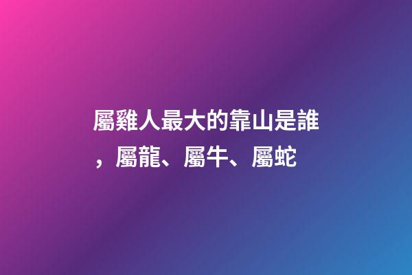 屬雞人最大的靠山是誰，屬龍、屬牛、屬蛇