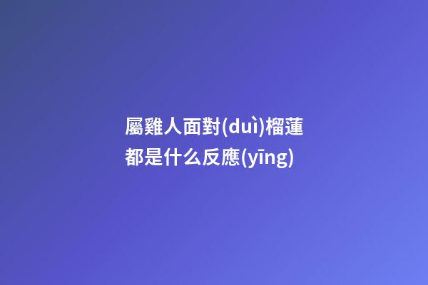 屬雞人面對(duì)榴蓮都是什么反應(yīng)