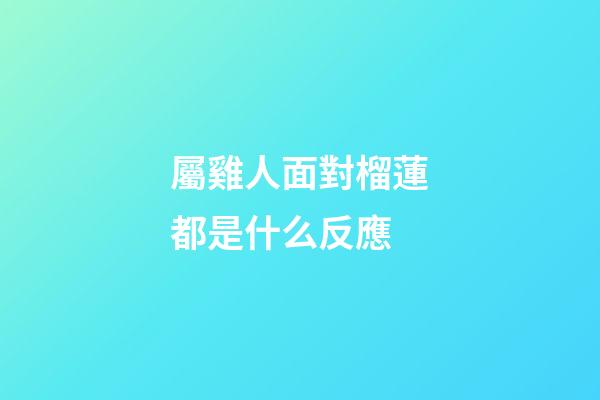 屬雞人面對榴蓮都是什么反應