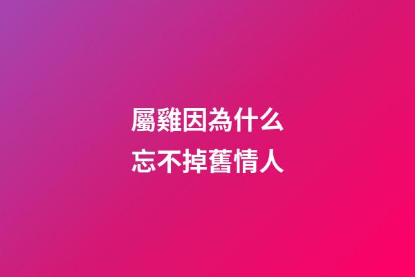 屬雞因為什么忘不掉舊情人