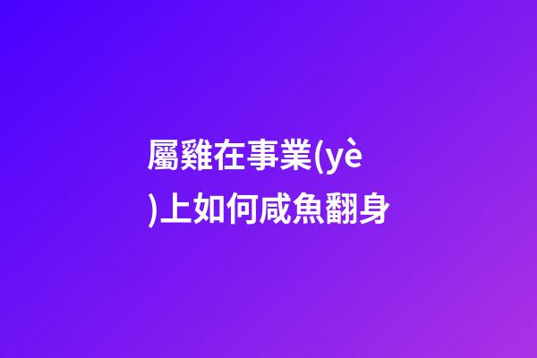 屬雞在事業(yè)上如何咸魚翻身