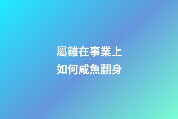 屬雞在事業上如何咸魚翻身