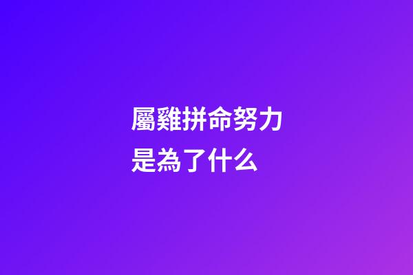屬雞拼命努力是為了什么