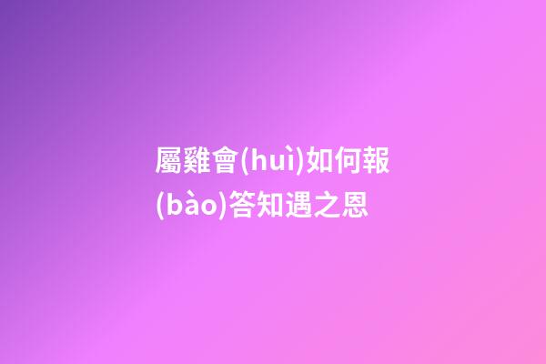屬雞會(huì)如何報(bào)答知遇之恩