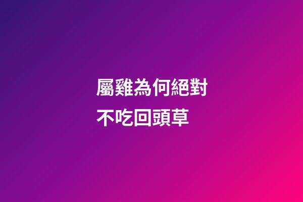 屬雞為何絕對不吃回頭草
