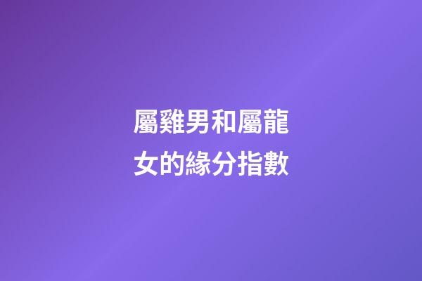 屬雞男和屬龍女的緣分指數