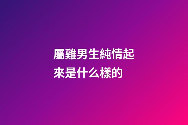 屬雞男生純情起來是什么樣的
