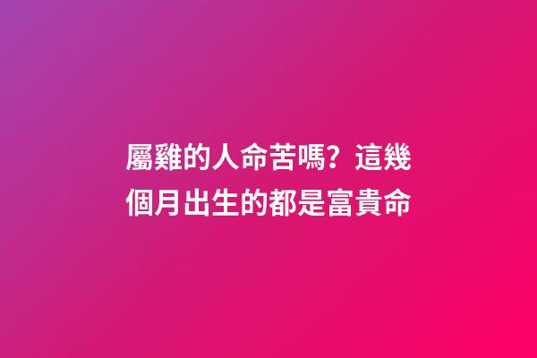 屬雞的人命苦嗎？這幾個月出生的都是富貴命