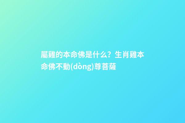 屬雞的本命佛是什么？生肖雞本命佛不動(dòng)尊菩薩