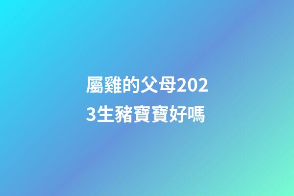 屬雞的父母2023生豬寶寶好嗎