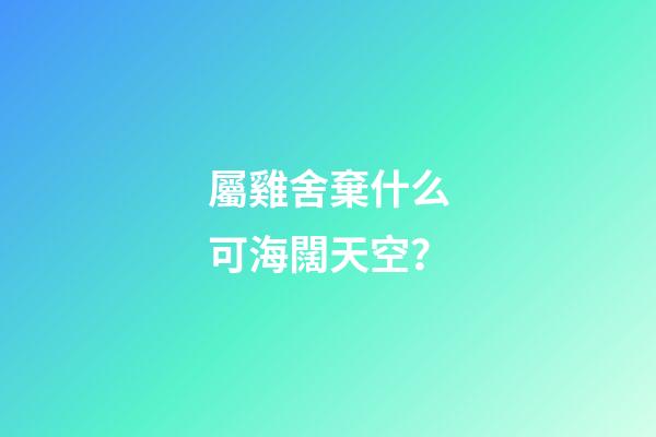 屬雞舍棄什么可海闊天空？
