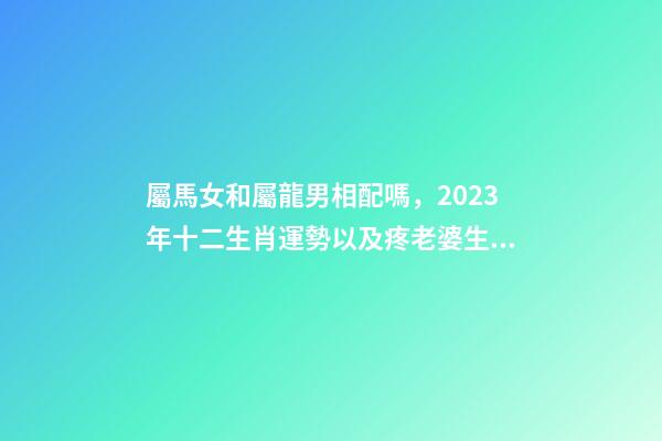屬馬女和屬龍男相配嗎，2023年十二生肖運勢以及疼老婆生肖和旺夫生肖大全