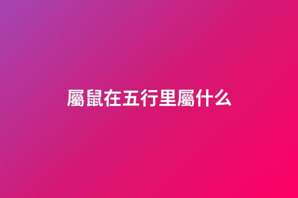 屬鼠在五行里屬什么
