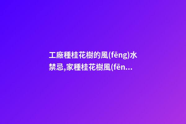 工廠種桂花樹的風(fēng)水禁忌,家種桂花樹風(fēng)水好還是不好？