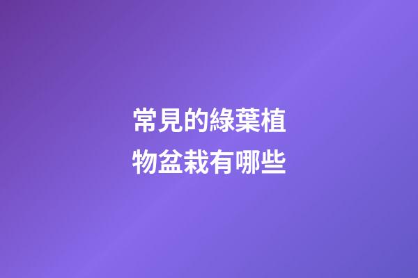 常見的綠葉植物盆栽有哪些
