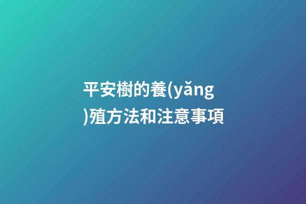 平安樹的養(yǎng)殖方法和注意事項