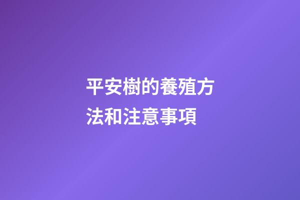 平安樹的養殖方法和注意事項
