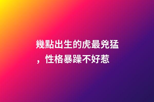 幾點出生的虎最兇猛，性格暴躁不好惹