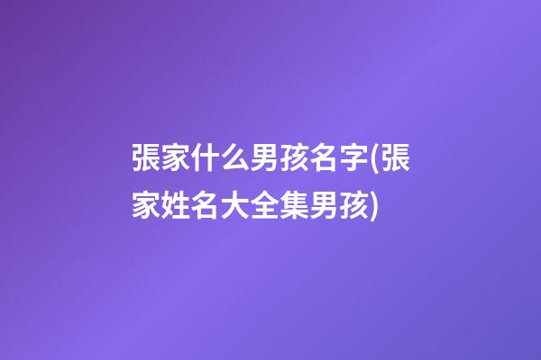 張家什么男孩名字(張家姓名大全集男孩)