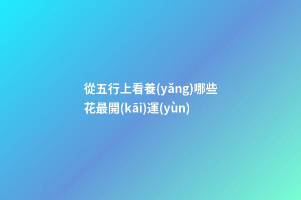 從五行上看養(yǎng)哪些花最開(kāi)運(yùn)