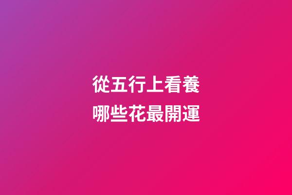 從五行上看養哪些花最開運