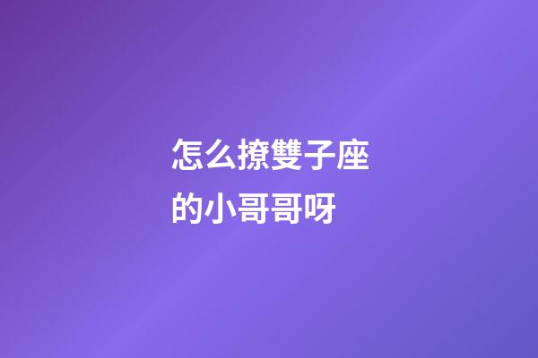 怎么撩雙子座的小哥哥呀-第1張-星座運(yùn)勢(shì)-玄機(jī)派