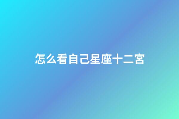 怎么看自己星座十二宮-第1張-星座運勢-玄機派