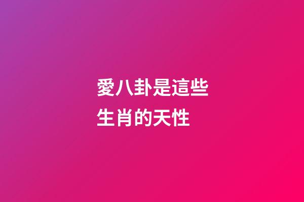 愛八卦是這些生肖的天性