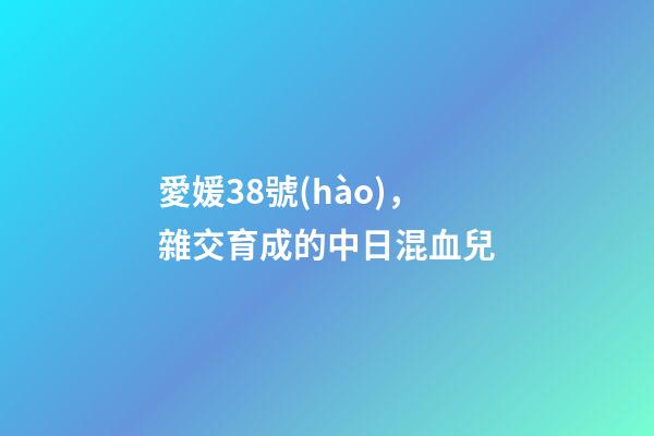 愛媛38號(hào)，雜交育成的中日混血兒-第1張-觀點(diǎn)-玄機(jī)派