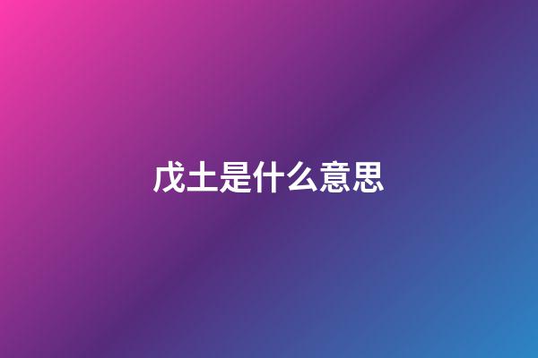 戊土是什么意思