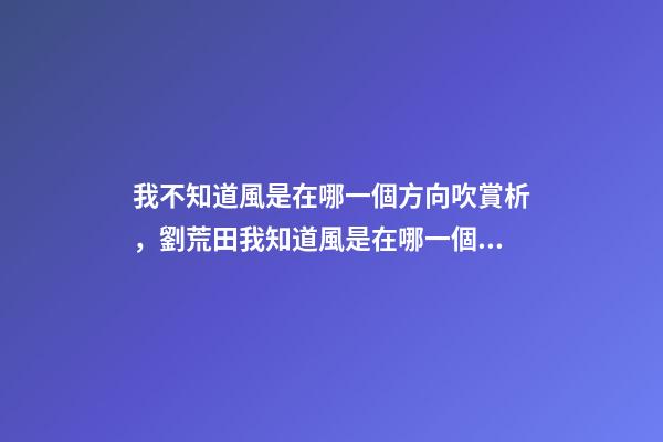 我不知道風是在哪一個方向吹賞析，劉荒田我知道風是在哪一個方向吹