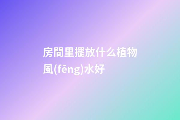 房間里擺放什么植物風(fēng)水好