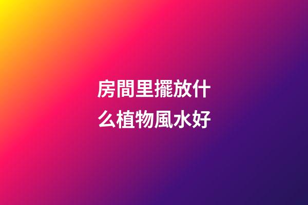 房間里擺放什么植物風水好