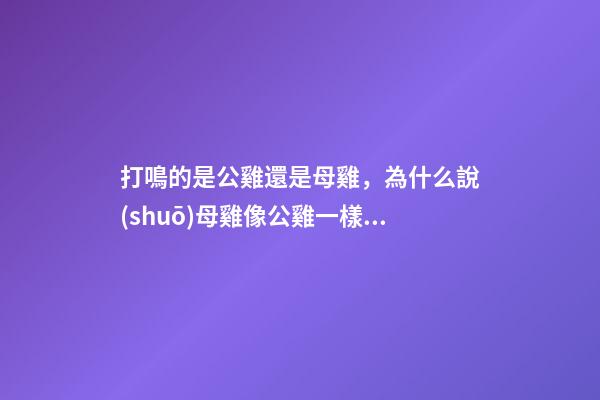 打鳴的是公雞還是母雞，為什么說(shuō)母雞像公雞一樣打鳴就是有女人篡權(quán)亂世-第1張-觀點(diǎn)-玄機(jī)派