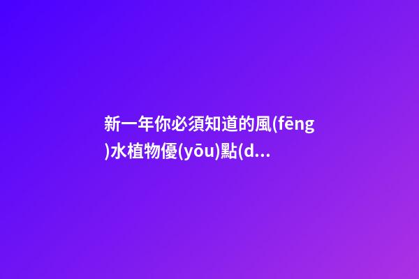 新一年你必須知道的風(fēng)水植物優(yōu)點(diǎn)
