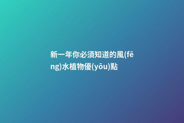 新一年你必須知道的風(fēng)水植物優(yōu)點