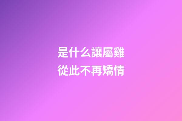 是什么讓屬雞從此不再矯情