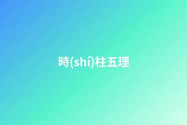 時(shí)柱五理