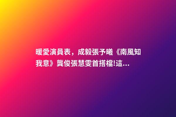 暖愛演員表，成毅張予曦《南風知我意》龔俊張慧雯首搭檔!這些cp你期待嗎-第1張-觀點-玄機派