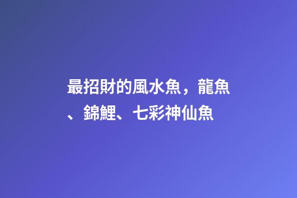 最招財的風水魚，龍魚、錦鯉、七彩神仙魚