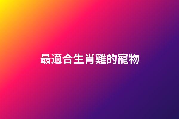 最適合生肖雞的寵物