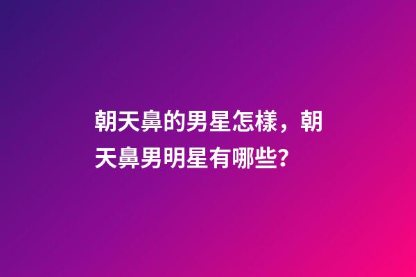 朝天鼻的男星怎樣，朝天鼻男明星有哪些？