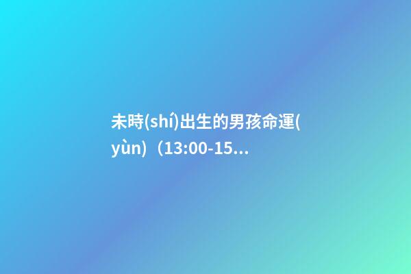 未時(shí)出生的男孩命運(yùn)（13:00-15:00）