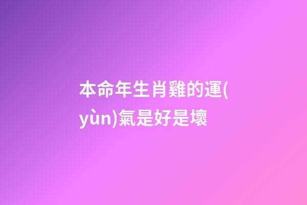 本命年生肖雞的運(yùn)氣是好是壞