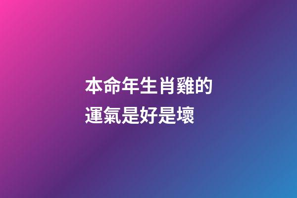 本命年生肖雞的運氣是好是壞
