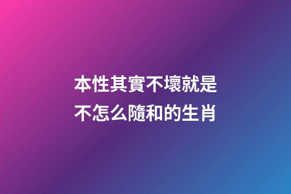 本性其實不壞就是不怎么隨和的生肖