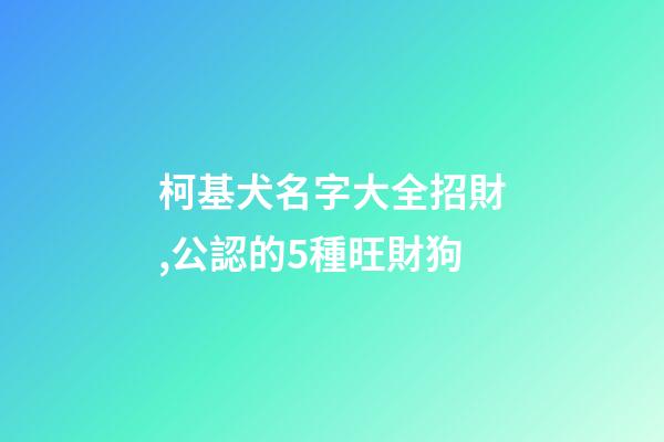 柯基犬名字大全招財,公認的5種旺財狗-第1張-觀點-玄機派