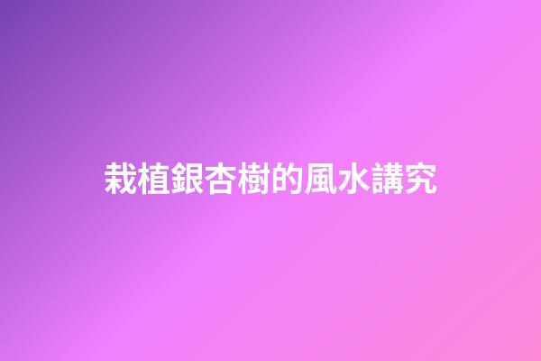 栽植銀杏樹的風水講究
