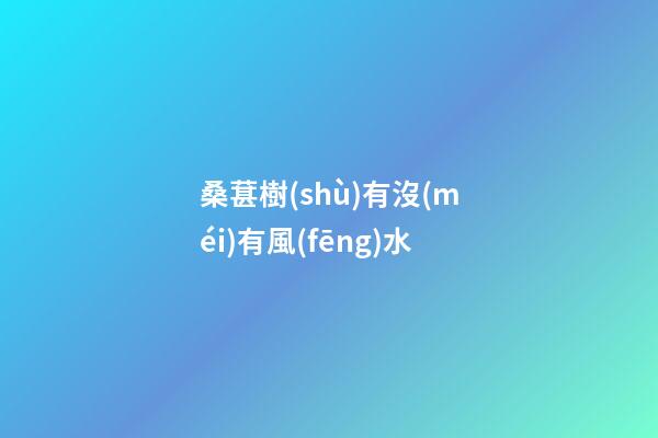 桑葚樹(shù)有沒(méi)有風(fēng)水